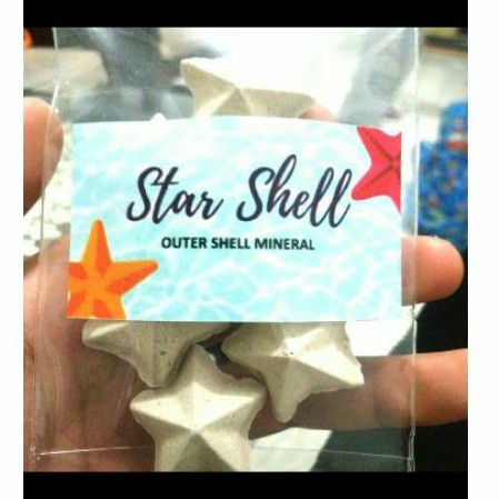 

star shell mineral keong siput udang