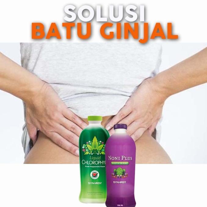 ORIGINAL PAKET SEMBUHKAN Obat Herbal Ginjal (NoniPlus Chlorophyll Synergy) Asli