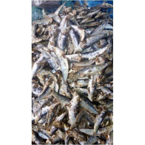 

Ikan Rebus Anak Tamban ( 1.000 Gr )