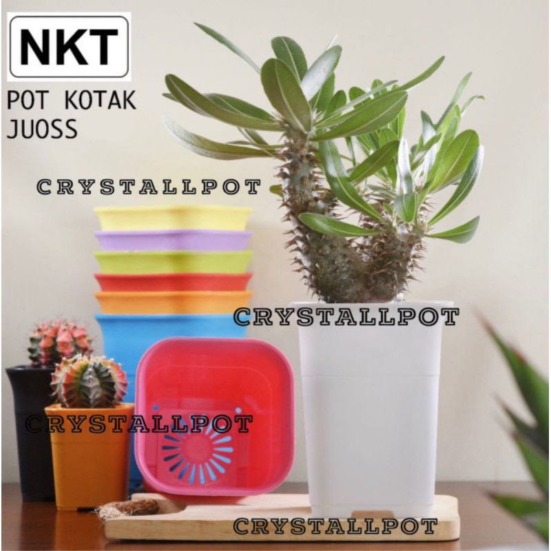 Pot bunga kotak mini (88)warna warni 8,8cm untuk menanam kaktus/bibit