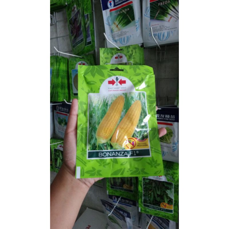 Benih jagung BONANZA F1 200BJ