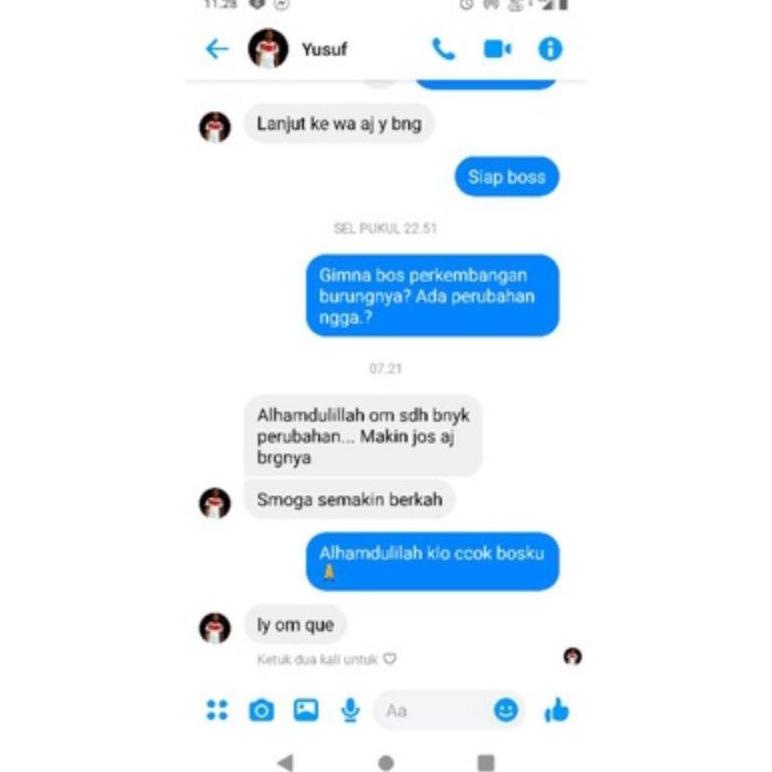 Jamu Merpati Perfect Power Isi 100 Butir