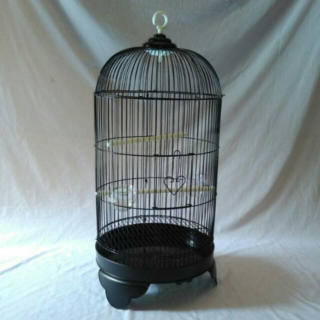 Harga Kandang Burung Lovebird Terbaik Perawatan Hewan Hobi