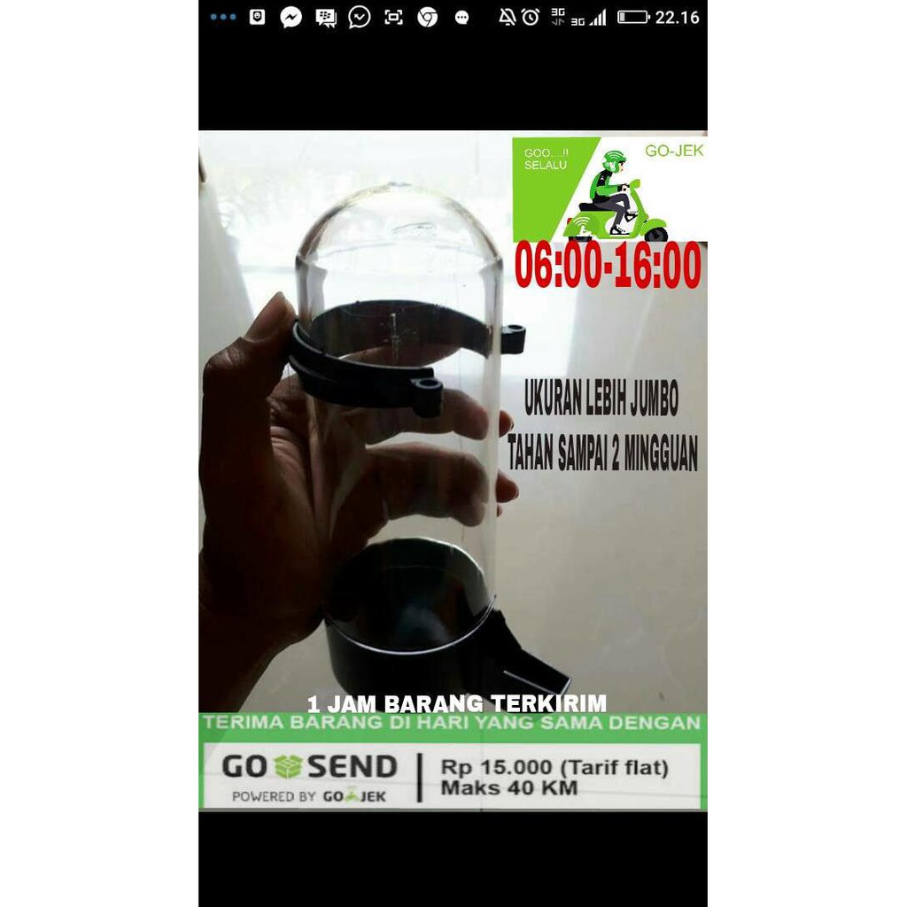 Botol Galon Tempat Makan/Minum Burung Dispenser Jumbo Model Lancip