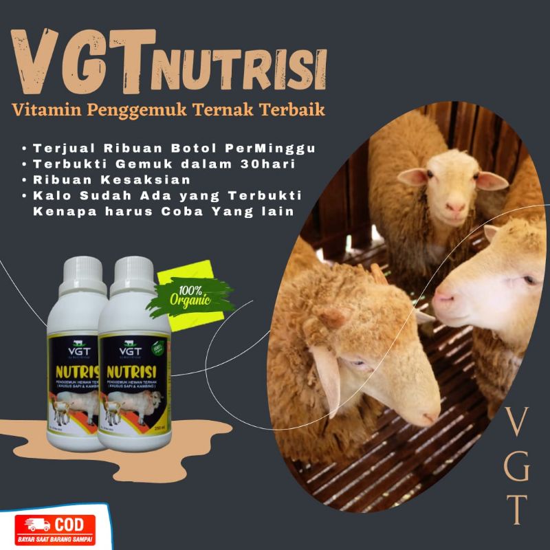 VGT(COD)Penggemuk Hewan Kambing
