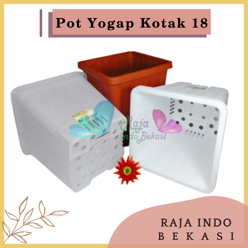 Pot Yogap Kotak 18 Putih Transparan Bening Merah Bata Coklat Terraccota Terakota Orange Pot Yogap 10 13 15 17 18 19 25 30 Pot Yogap Lusinan Pot Kotak Segi Pesegi Empat Panjang Tinggi