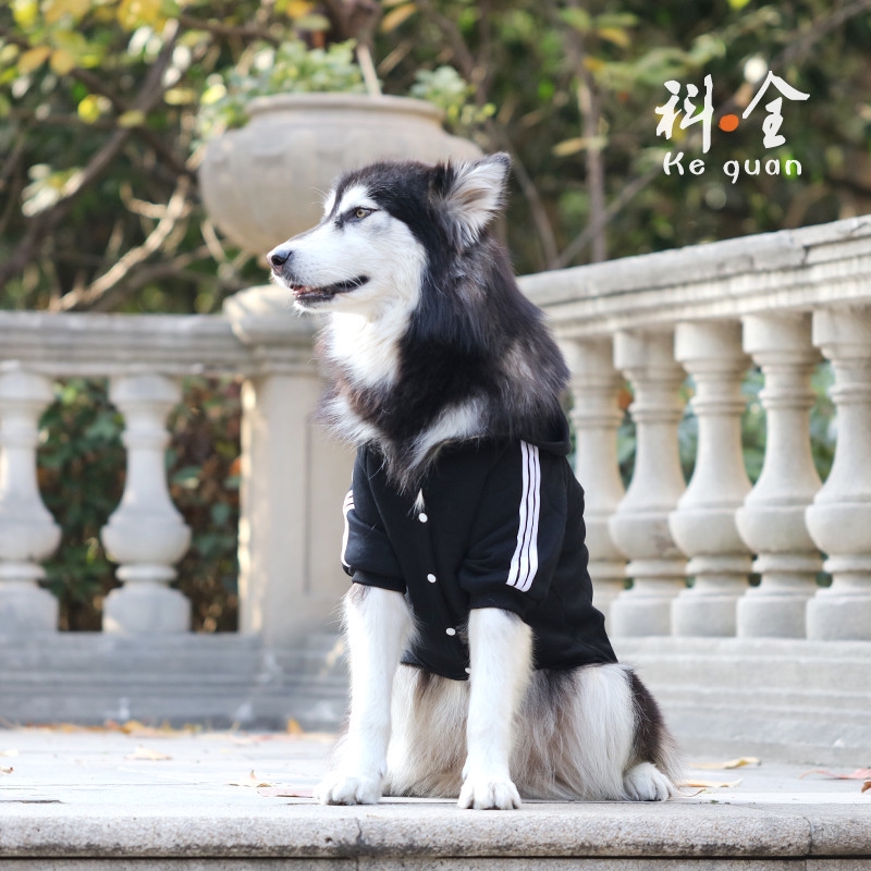 Pakaian Anjing Besar Golden Retriever Samoyed Shepherd Alaska