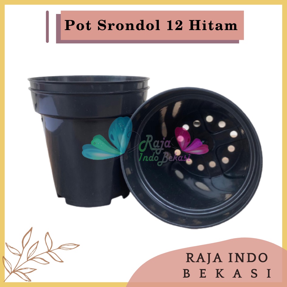 Pot Tinggi Srondol 12 HITAM - Pot Tinggi Usa Eiffel Effiel 18 20 25 Lusinan Pot Tinggi Tirus 15 18 20 30 35 40 50 Cm Paket murah isi 1 lusin pot bunga plastik lusinan pot tanaman Pot Bibit Besar Mini Kecil Pot Srondol