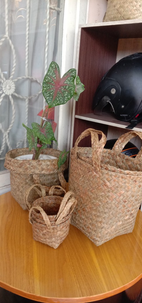 Keranjang Tanaman Ukuran 20 Cm