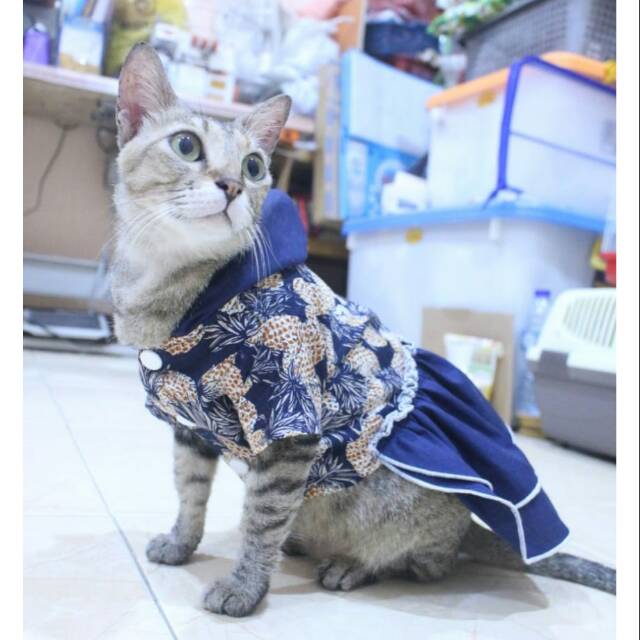 Dress buah model hoodie lucu untuk kucing dan anjing / baju kucing tangerang murah size S M L XL