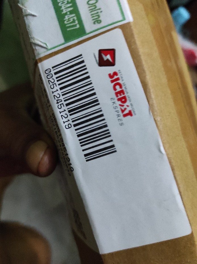 Tanaman Bunga Mawar Sunkist 200g