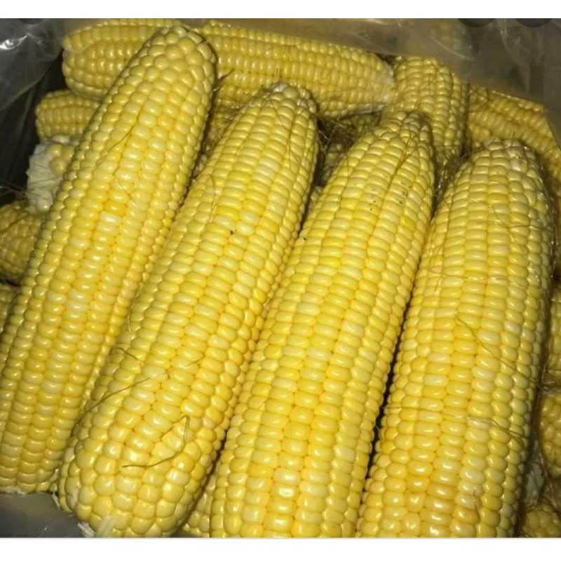 

Jagung madu kupas 1biji