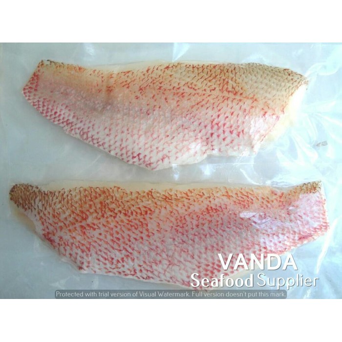 

Ikan Kakap Merah Fillet