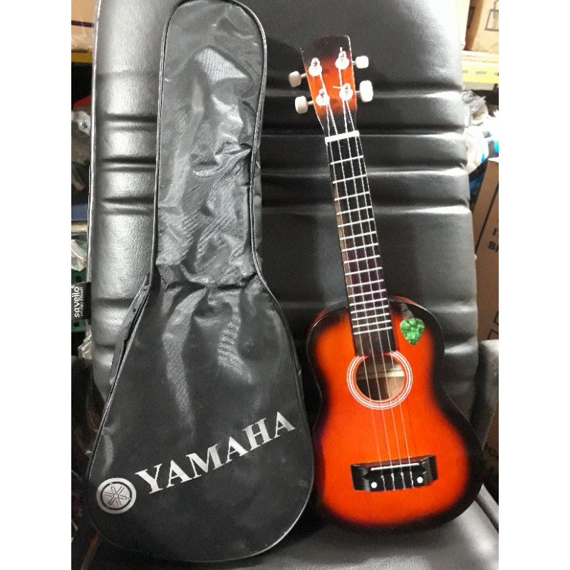 Paket gitar ukulele
