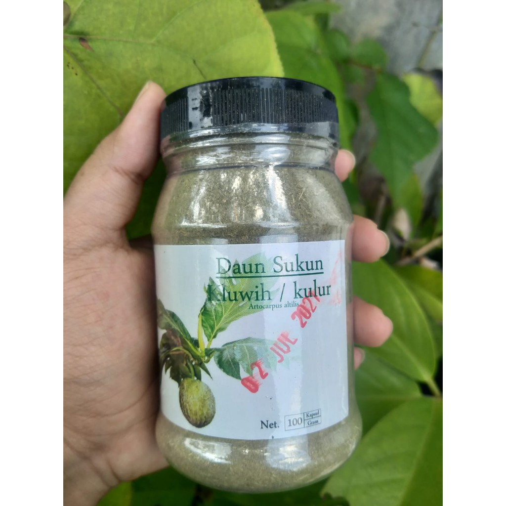 

[CUCI GUDANG] Herbal Daun Sukun Serbuk | Kluwih | Kulur | Artocaspus altilis 100 gr