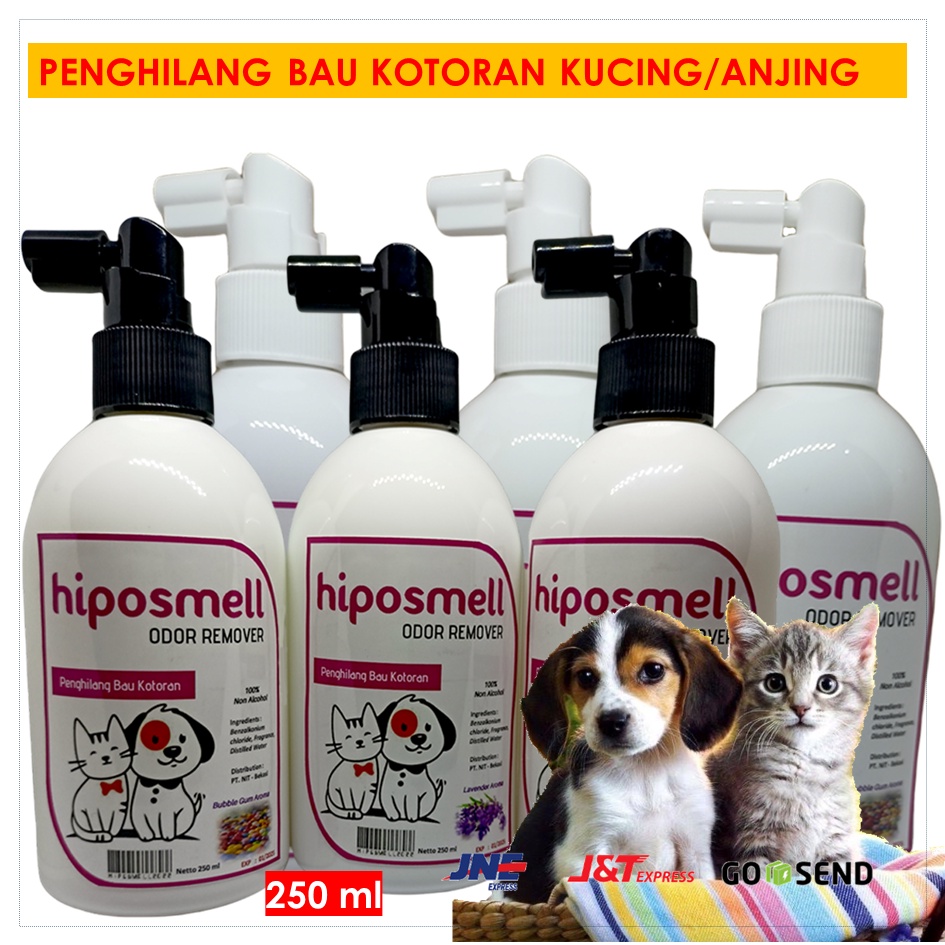 Penghilang Bau Kotoran Pipis Kucing Anjing ODOR REMOVER Parfum Plus Disinfectant Wangi dan Sehat