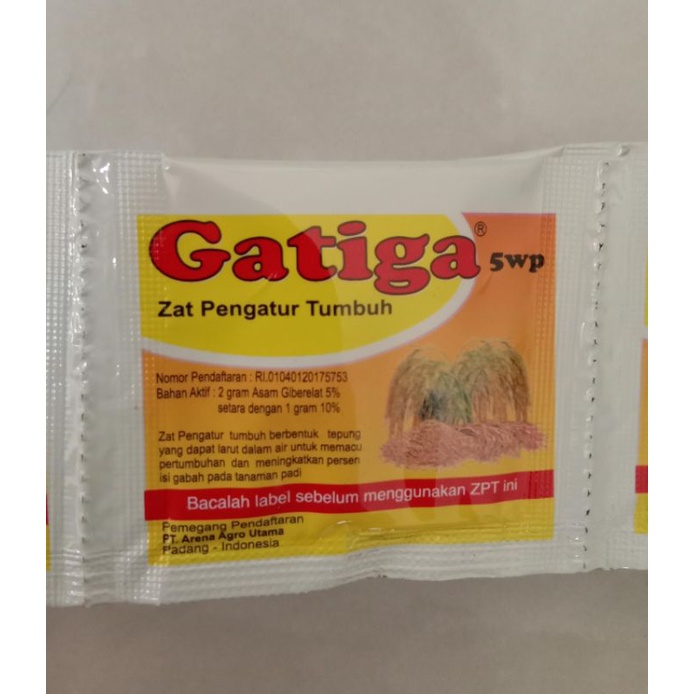 GATIGA 5WP