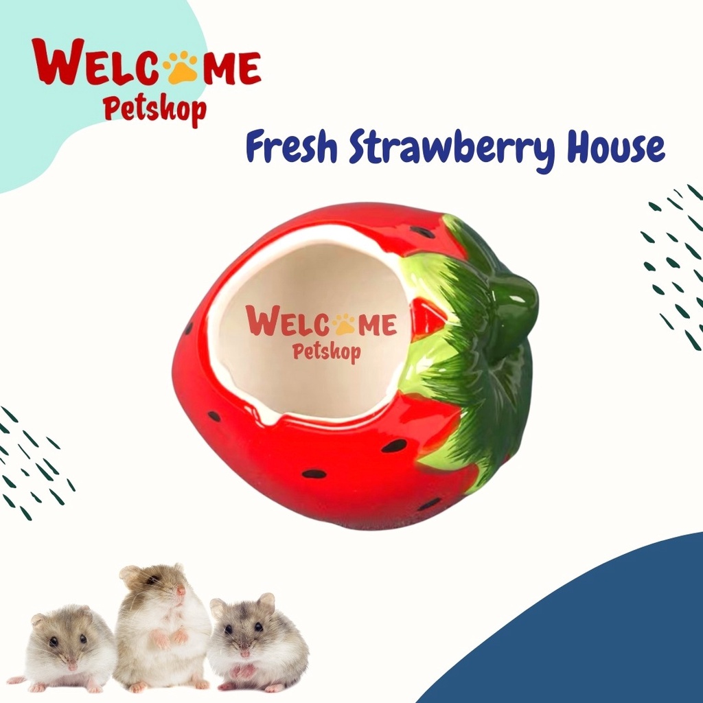 Fresh Strawberry House / Rumah Hamster / Kandang Hamster