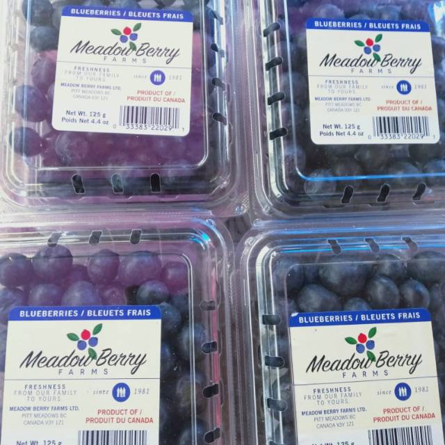 

Blueberry fresh no frozen