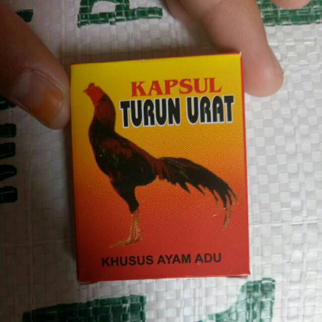 FORMULA KAPSUL TURUN URAT AYAM