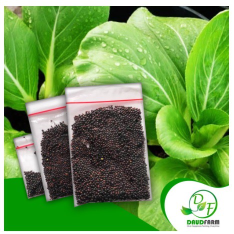 Benih PAKCOY isi 50 -1Gram