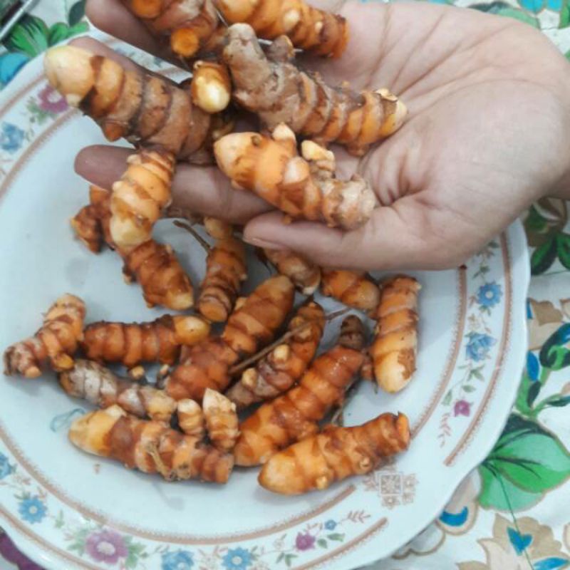 

Kunir / Kunyit 1 KG, rempah-rempah, bahan bumbu masak
