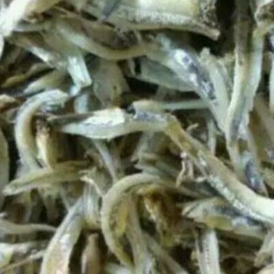 

Teri Jengki belah Super 250gr
