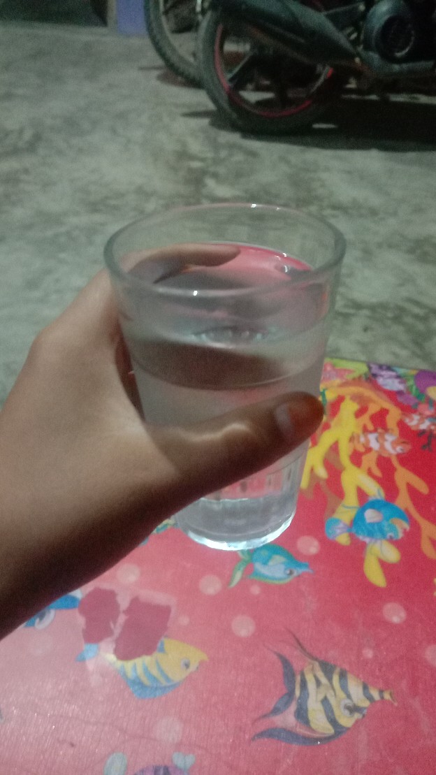 Ct-0318 Cetakan Silikon Coklat Fondant Nanas Pineapple Clay Puding