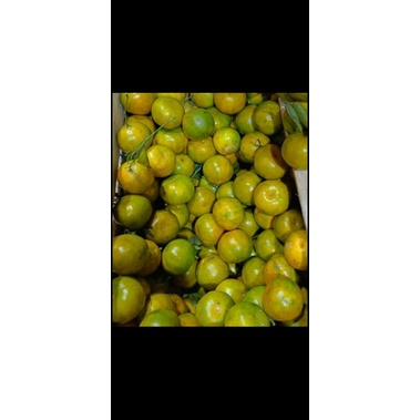 

Jeruk Santang Lokal 1kg