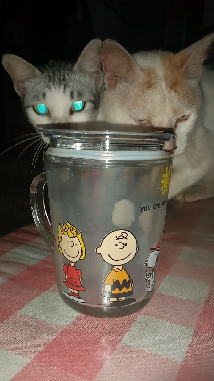 Mug Kaca + Sedotan+ Pegangan/glass Handle + Straw Gelas Kaca Motif Karakter/gelas Karakter 350ml