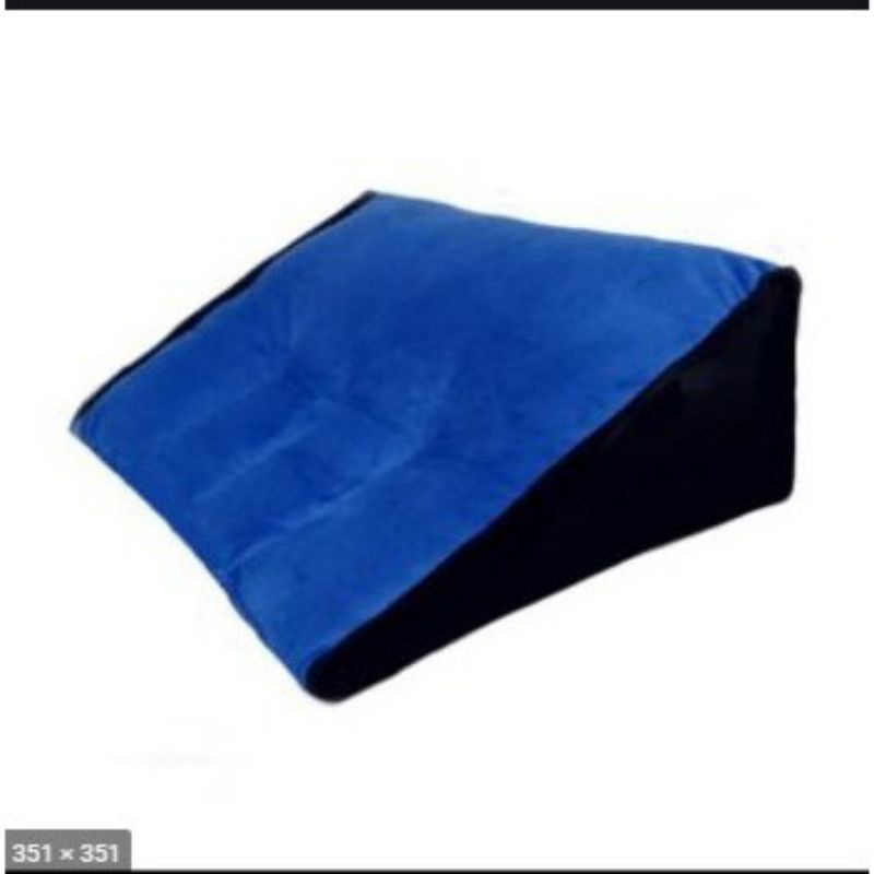 BANTAL SENGGAMA  BERCINTA BANTAL BIRU PENGGANJAL PUNGGUNG