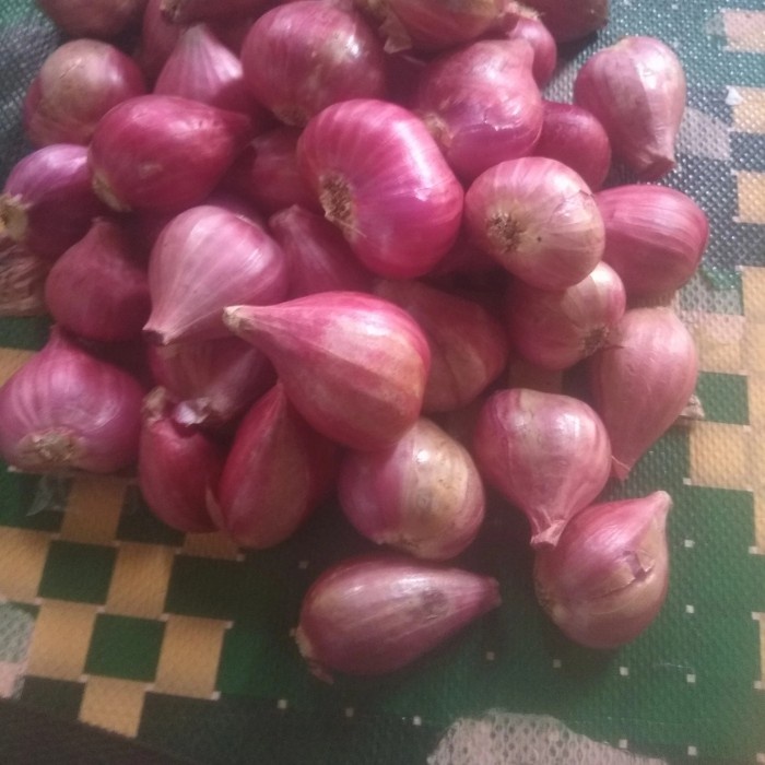 

Siap Kirim Bawang Merah Brebes Pilihan Besar 1Kg
