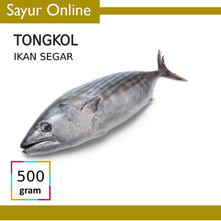 

[SayurOnline] IKAN TONGKOL [500g]