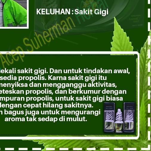 ➪ PROPOLIS SM - 100% PROPOLIS ASLI - EKSTRAK PROPOLIS BRAZILIAN With Nano Technology ◌