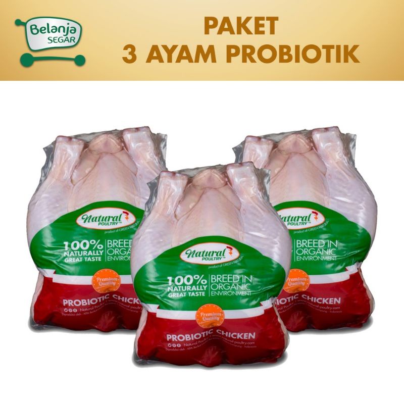 

Paket 3 ekor Ayam Probiotik Reguler (800-900 gram) - Natural Poultry