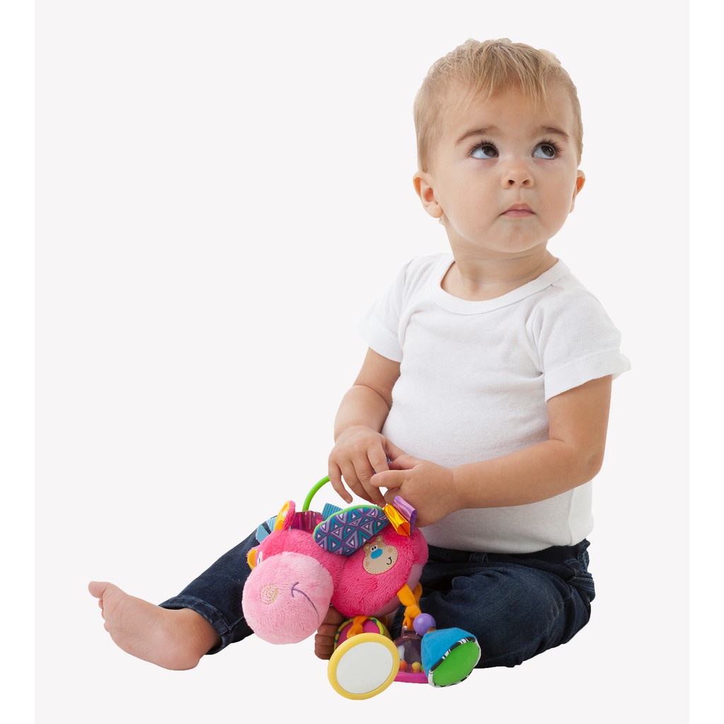 PLAYGRO CLOPETTE ACTIVITY RATTLE PINK