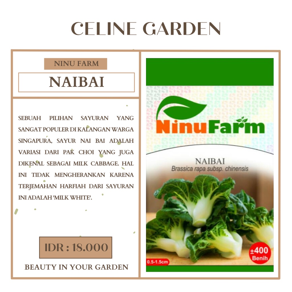 BIBIT PAKCHOY MINI / NAIBAI / NINUFARM / ORIGINAL PABRIK