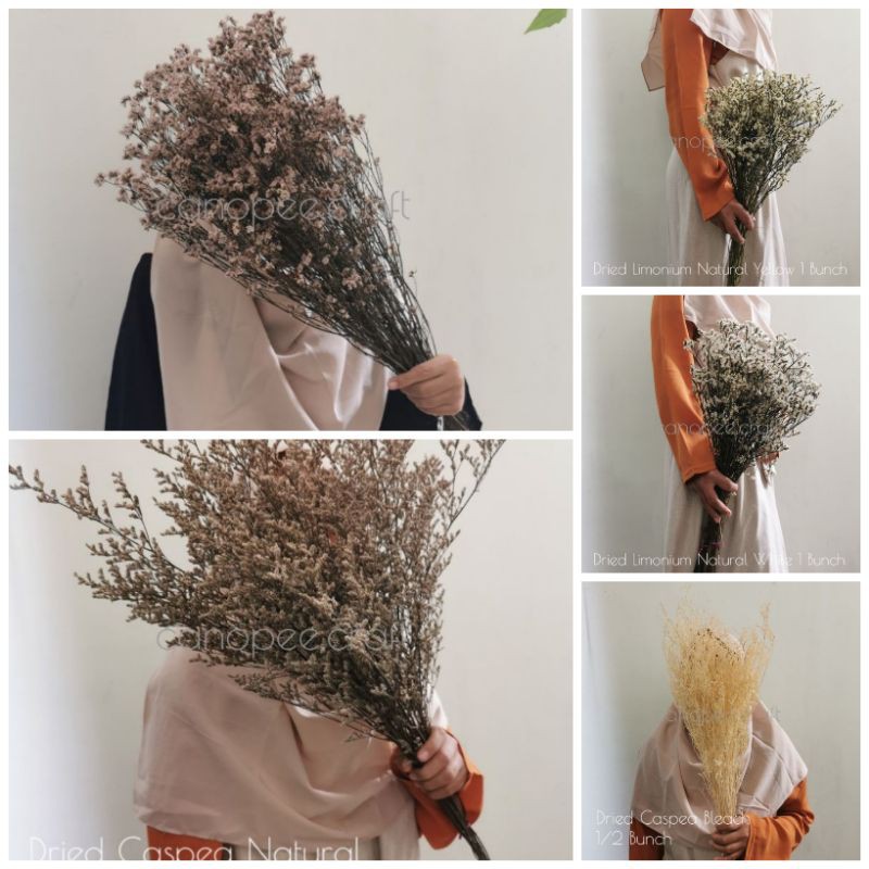 Bunga Kering Limonium Caspea Grosir