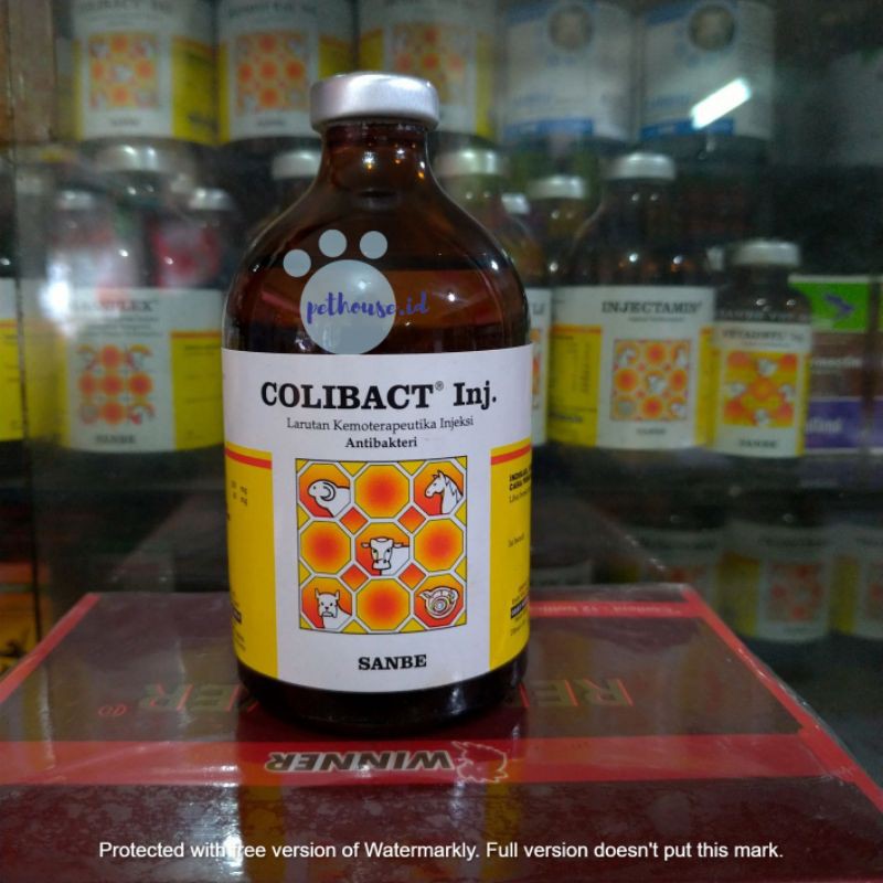 colibact inj 50 ml dan colibact 100ml / obat hewan ternak untuk saluran pencernaan