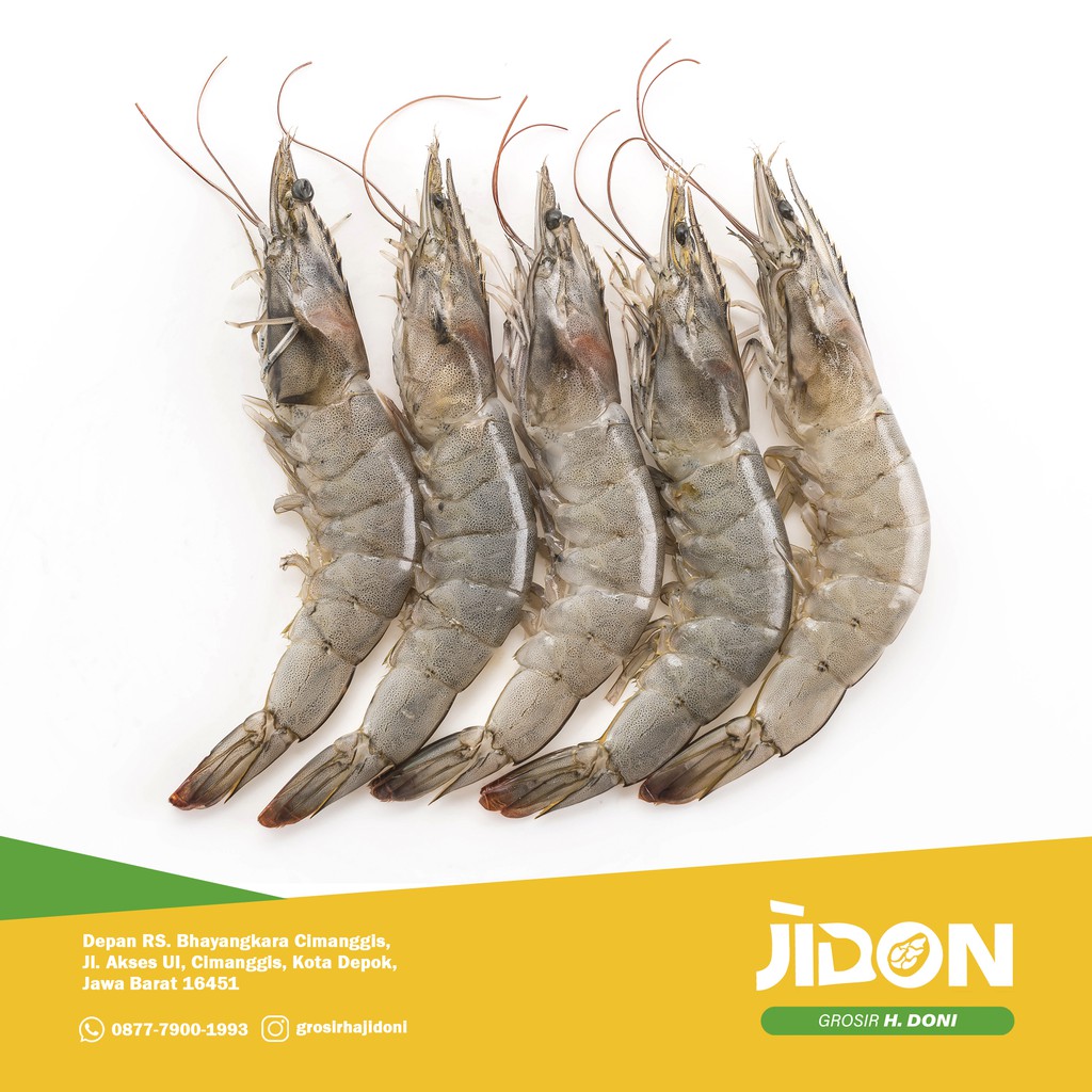 

JUAL UDANG VANAME 500gr - 1kg