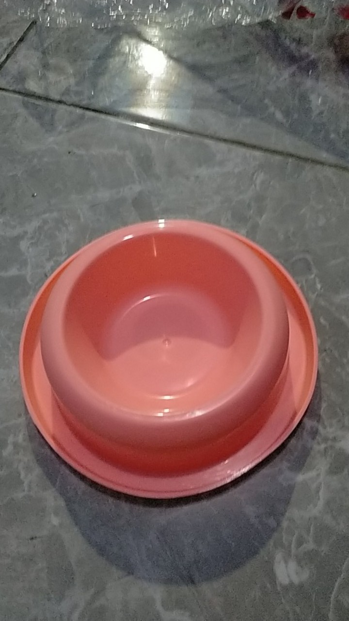 Tempat Makan Anti Semut Single T77
