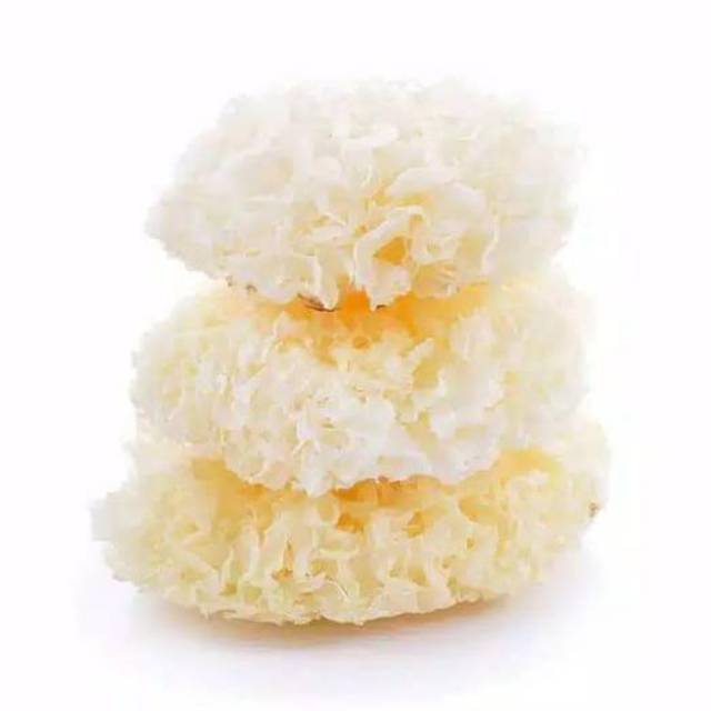 

JAMUR SALJU 100 GRAM