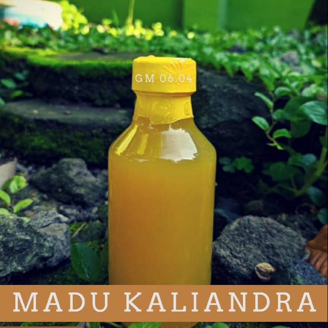 

Madu kaliandra buat daya tahan tubuh