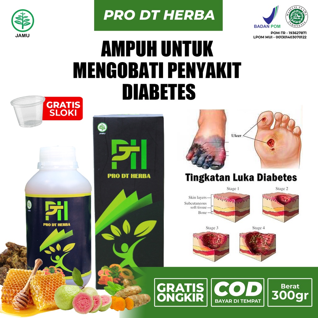 Jual Pro Dt Herba Obat Herbal Diabetes Melitus Kencing Manis Gula Darah