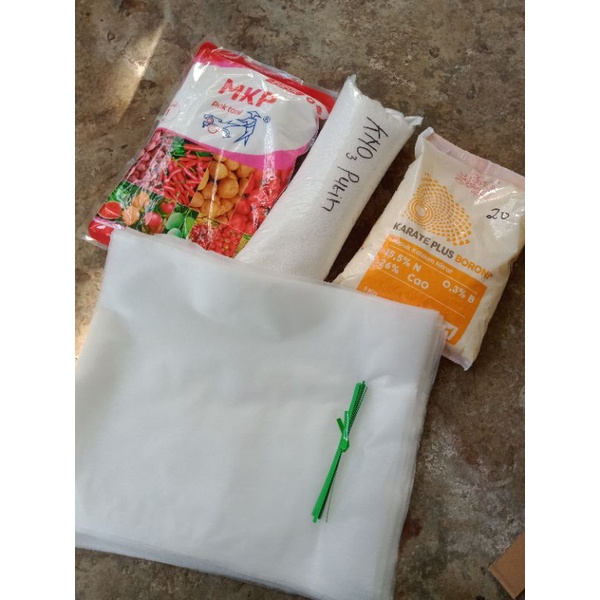 Pupuk perangsang buah