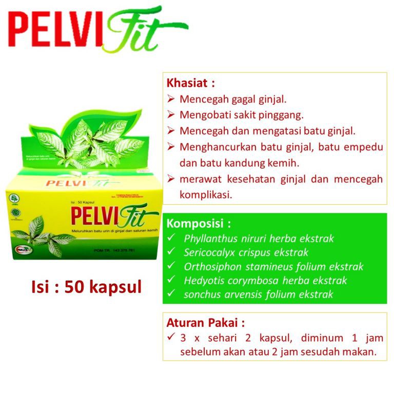 Herbal Batu Ginjal Batu Empedu Pelvifit Naturafit