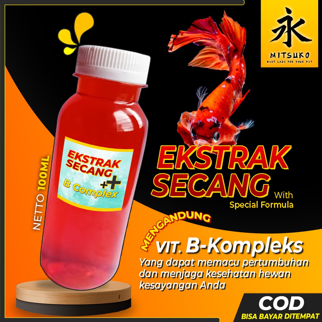 OURFISH - Ekstrak Kayu Secang Cupang Hias Blue Rim Avatar Halfmoon Giant Nemo