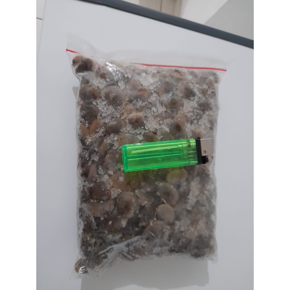 

kerang Lai a kulit/utuh seafood frozen / riau / bagan