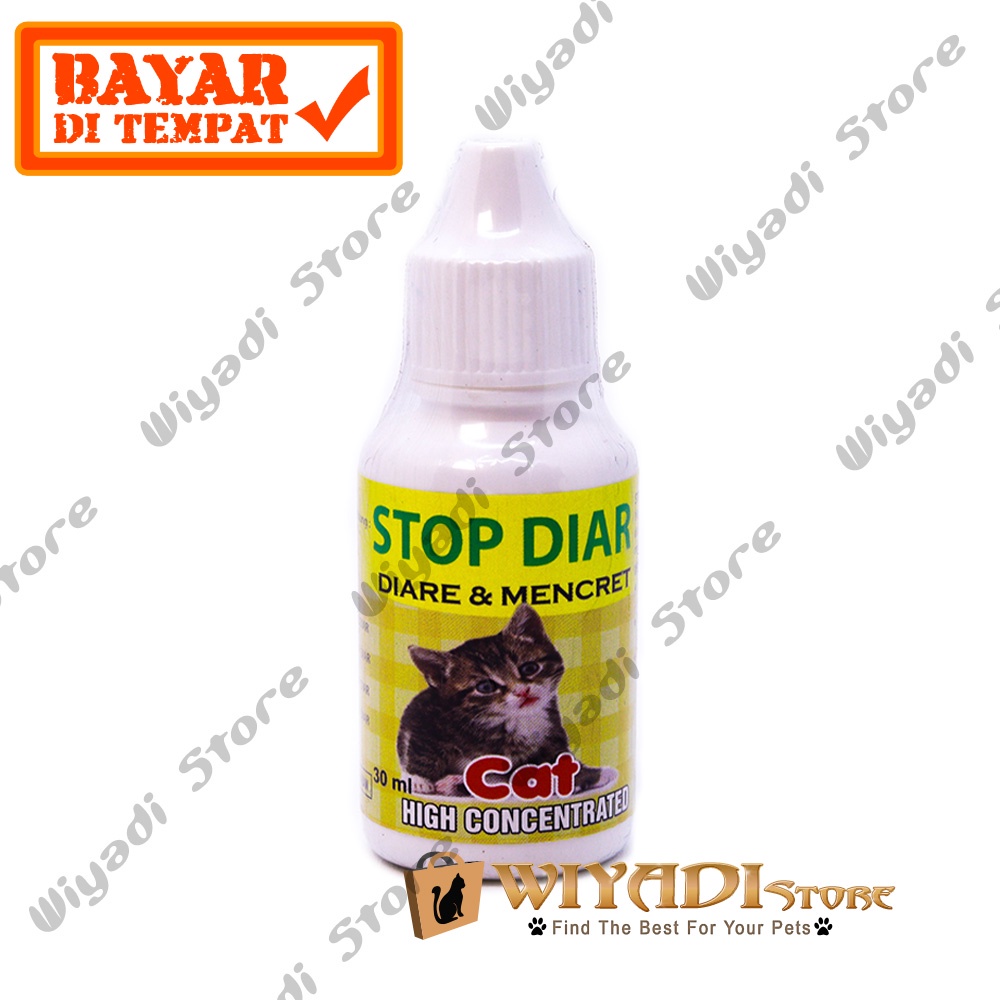 Stop Diar 30ml - Obat Diare Kembung Mencret pada Kucing Kitten Cepirit