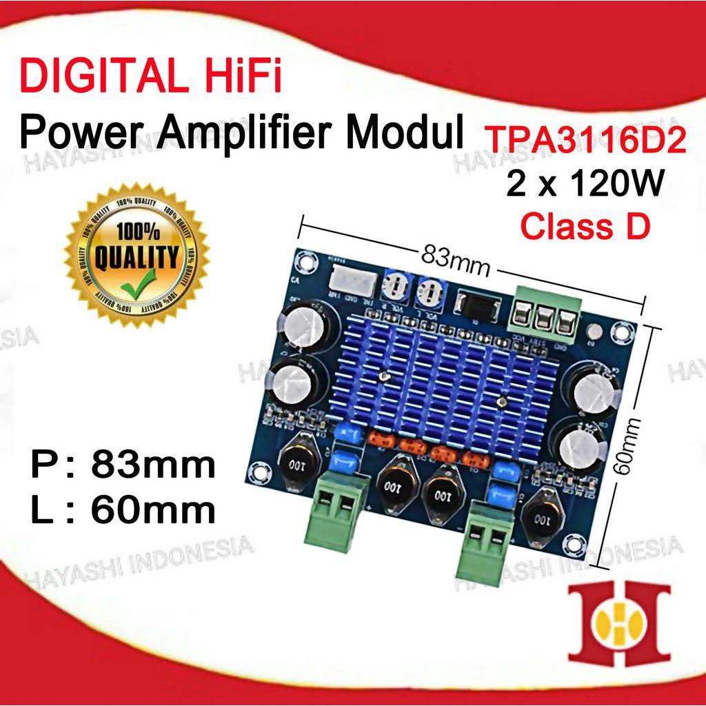 Audio Amplifier Stereo HiFi 2 x 120W Class D TPA3116D2